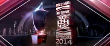 Singapore Hit Awards 2014 - 新加坡金曲獎2014