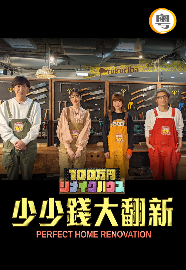 Perfect Home Renovation - 少少錢大翻新