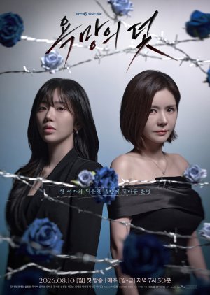 A Trap Called Desire (2026) - 욕망의 덫
