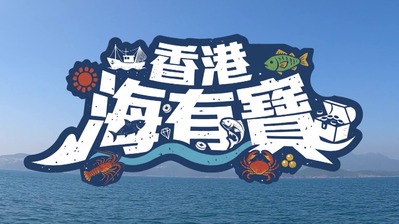 Treasure of the Sea in Hong Kong - 香港海有寶