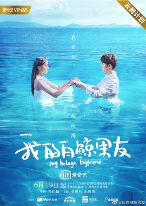 My Beluga Boyfriend - 我的白鲸男友